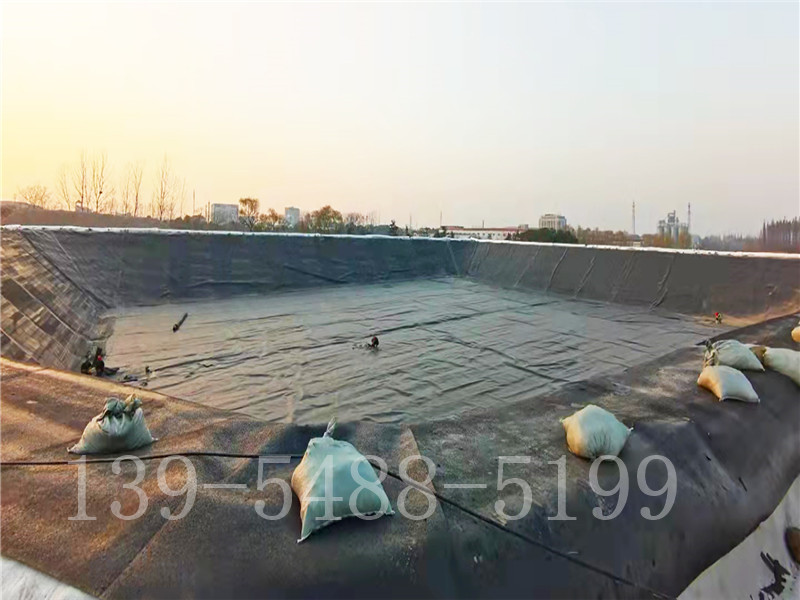 山东路易达新材料