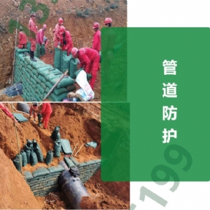 涤纶生态袋