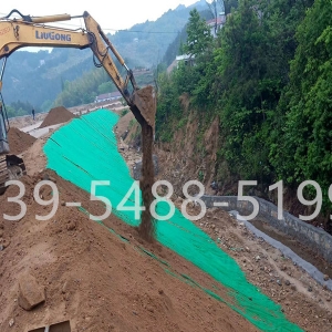 三维植被网施工