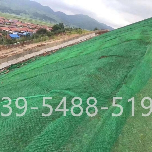 三维植被网施工