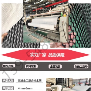 6.3mm土工复合排水网
